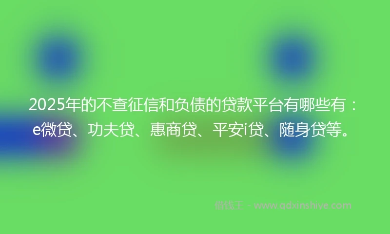 2025年的不查征信和负债的贷款平台有哪些有：e微贷、功夫贷、惠商贷、平安i贷、随身贷等。