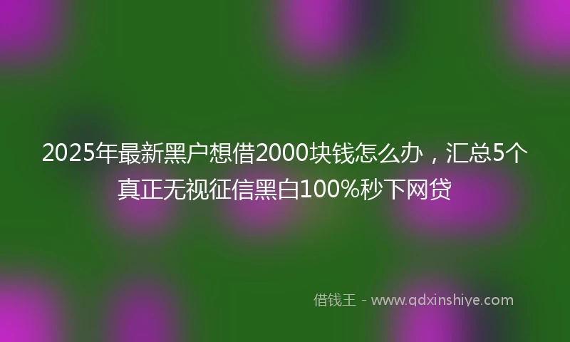 2025年最新黑户想借2000块钱怎么办，汇总5个真正无视征信黑白100%秒下网贷