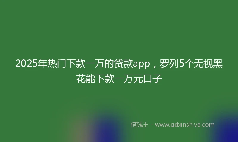 2025年热门下款一万的贷款app，罗列5个无视黑花能下款一万元口子