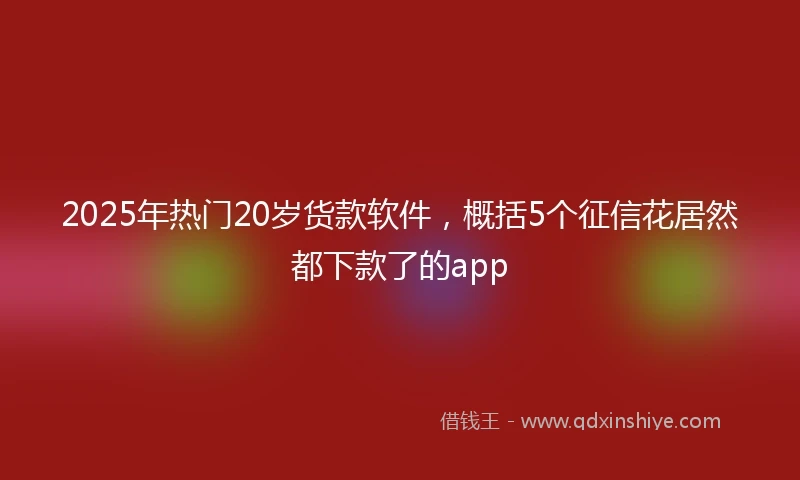 2025年热门20岁货款软件，概括5个征信花居然都下款了的app