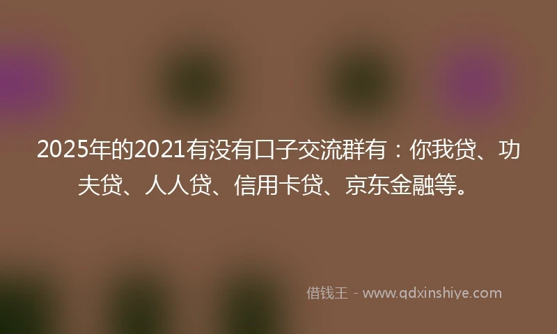 2025年的2021有没有口子交流群有：你我贷、功夫贷、人人贷、信用卡贷、京东金融等。