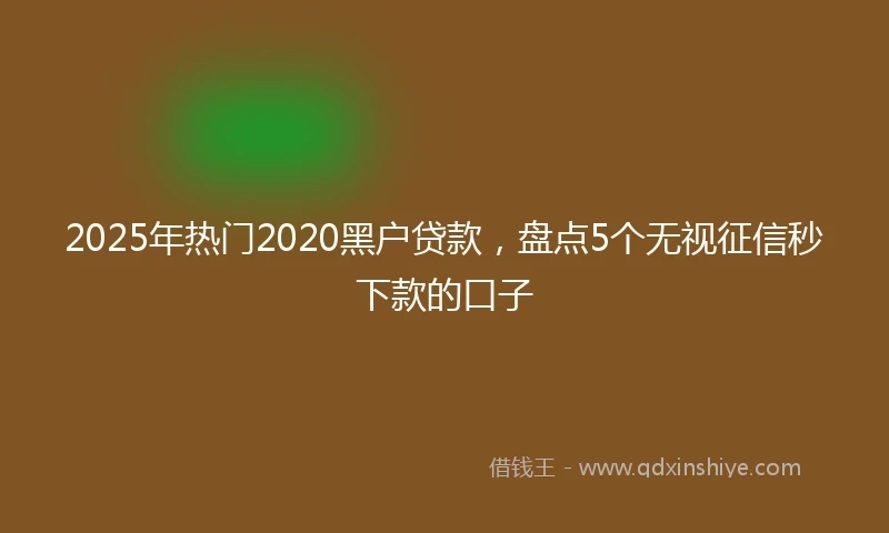2025年热门2020黑户贷款，盘点5个无视征信秒下款的口子