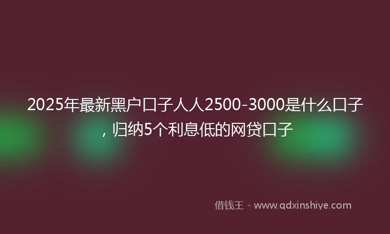 2025年最新黑户口子人人2500-3000是什么口子，归纳5个利息低的网贷口子