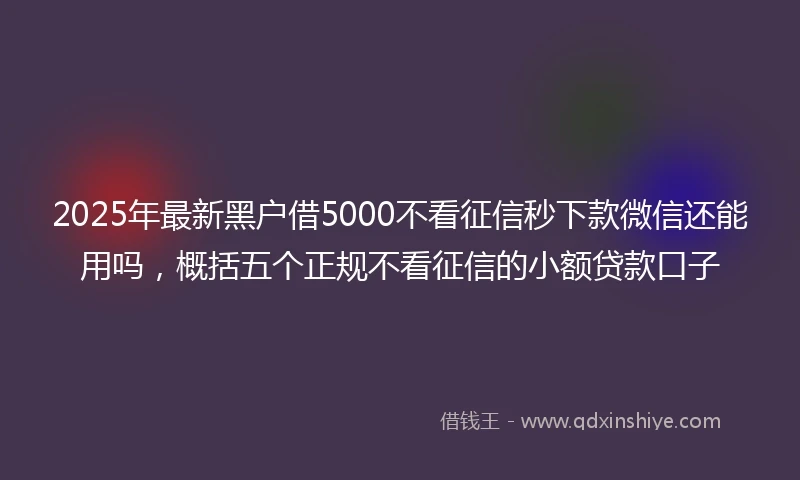2025年最新黑户借5000不看征信秒下款微信还能用吗，概括五个正规不看征信的小额贷款口子