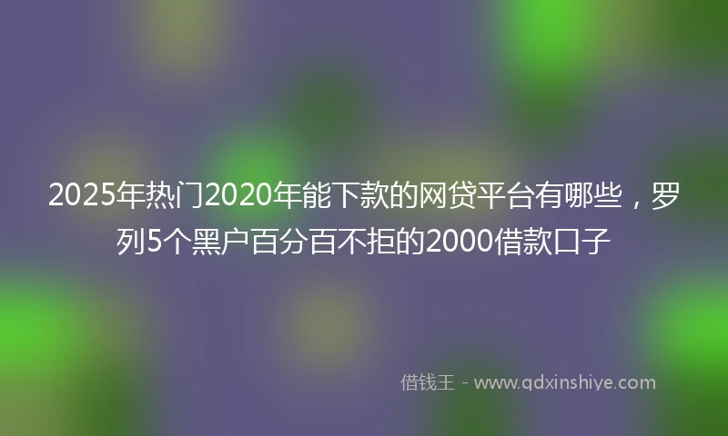 2025年热门2020年能下款的网贷平台有哪些，罗列5个黑户百分百不拒的2000借款口子