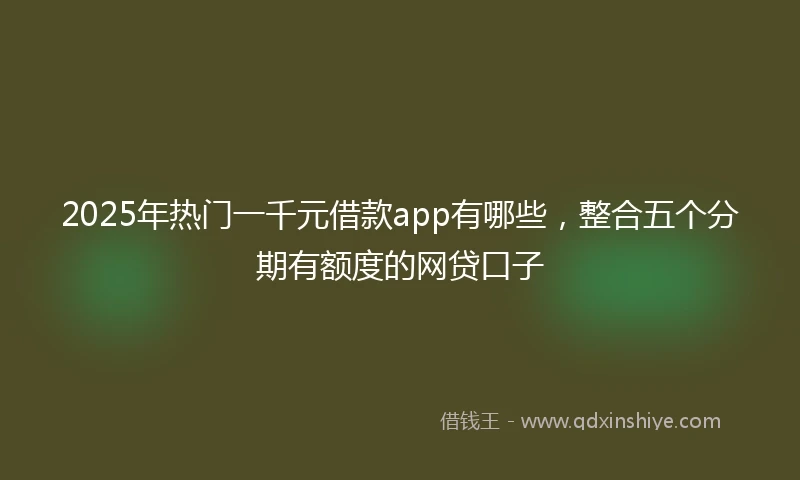 2025年热门一千元借款app有哪些，整合五个分期有额度的网贷口子