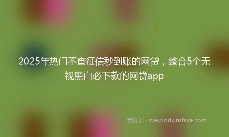 2025年热门不查征信秒到账的网贷，整合5个无视黑白必下款的网贷app