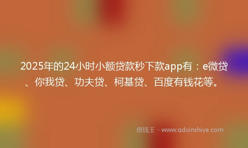2025年的24小时小额贷款秒下款app有：e微贷、你我贷、功夫贷、柯基贷、百度有钱花等。