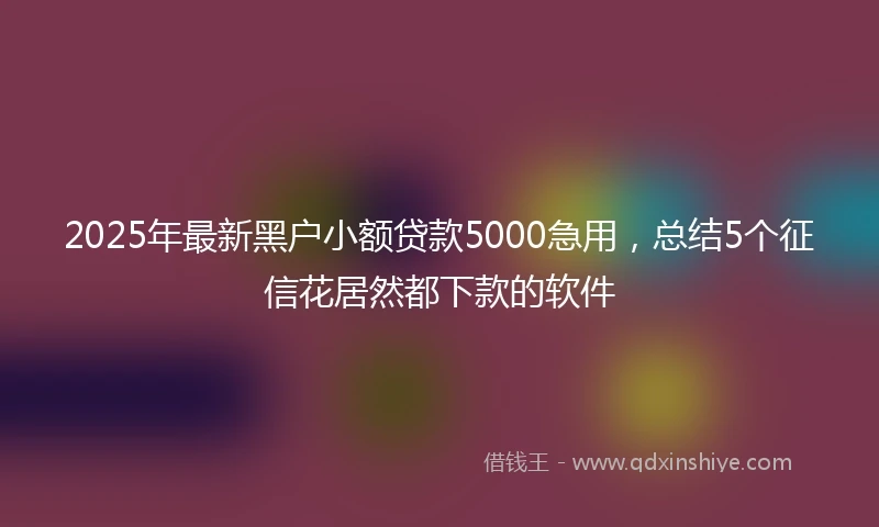 2025年最新黑户小额贷款5000急用，总结5个征信花居然都下款的软件