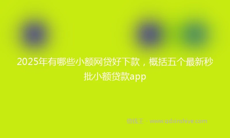 2025年有哪些小额网贷好下款，概括五个最新秒批小额贷款app