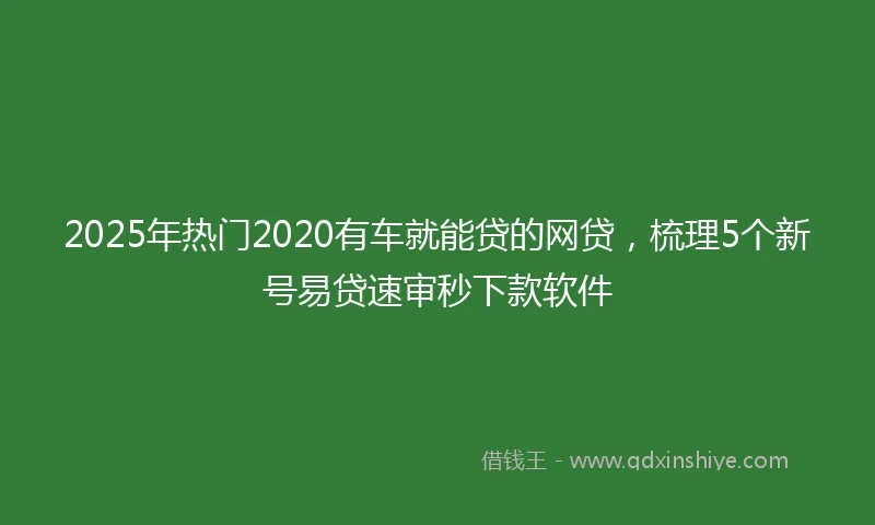 2025年热门2020有车就能贷的网贷，梳理5个新号易贷速审秒下款软件