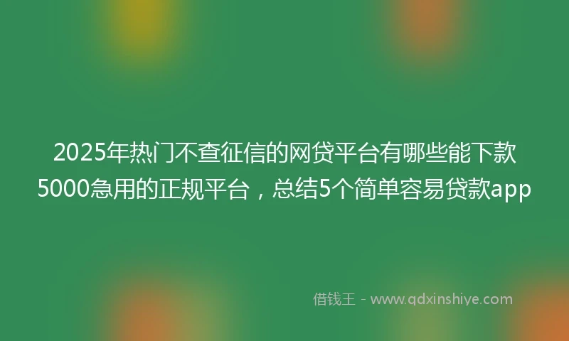 2025年热门不查征信的网贷平台有哪些能下款5000急用的正规平台，总结5个简单容易贷款app