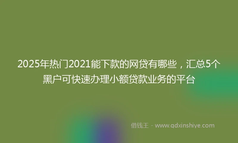 2025年热门2021能下款的网贷有哪些，汇总5个黑户可快速办理小额贷款业务的平台