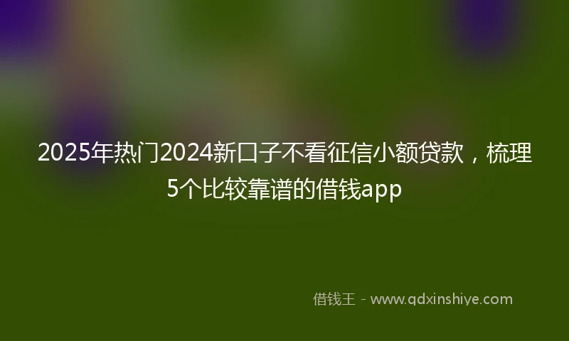 2025年热门2024新口子不看征信小额贷款，梳理5个比较靠谱的借钱app