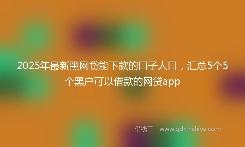2025年最新黑网贷能下款的口子人口，汇总5个5个黑户可以借款的网贷app