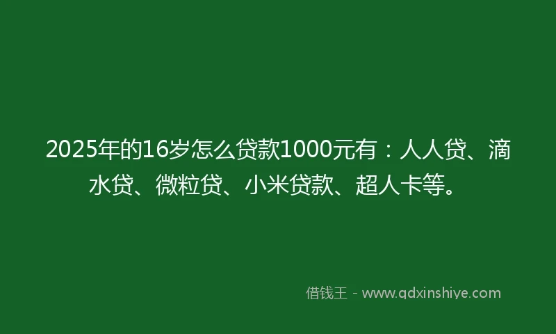 2025年的16岁怎么贷款1000元有：人人贷、滴水贷、微粒贷、小米贷款、超人卡等。