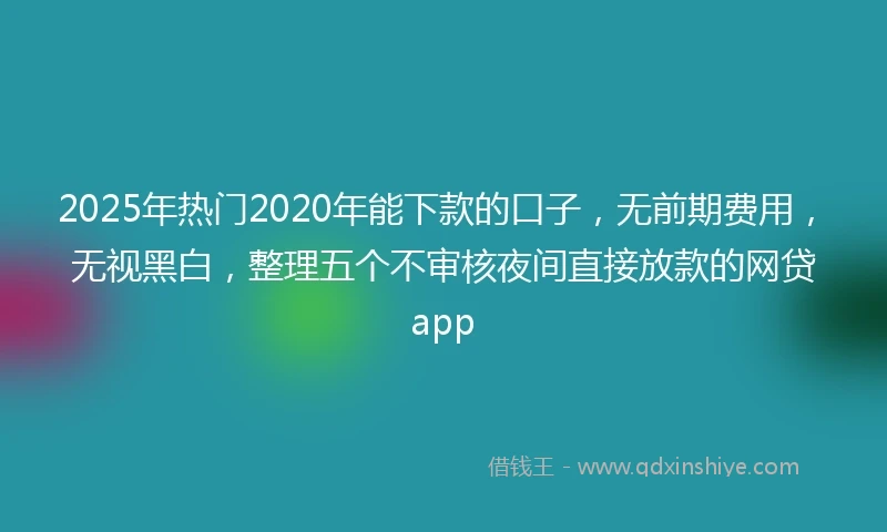 2025年热门2020年能下款的口子，无前期费用，无视黑白，整理五个不审核夜间直接放款的网贷app