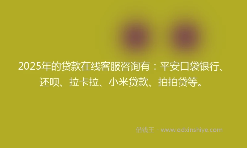 2025年的贷款在线客服咨询有：平安口袋银行、还呗、拉卡拉、小米贷款、拍拍贷等。