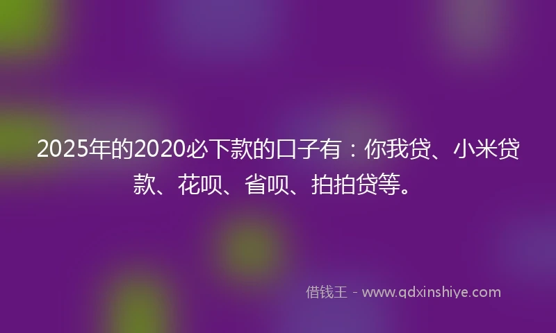 2025年的2020必下款的口子有：你我贷、小米贷款、花呗、省呗、拍拍贷等。