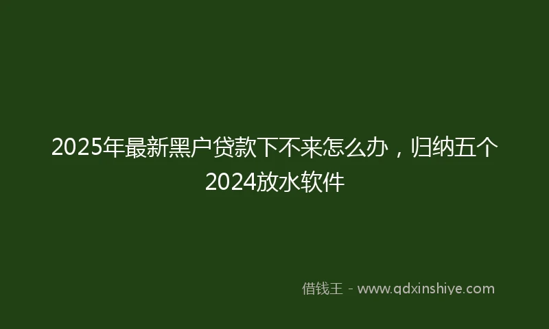 2025年最新黑户贷款下不来怎么办，归纳五个2024放水软件