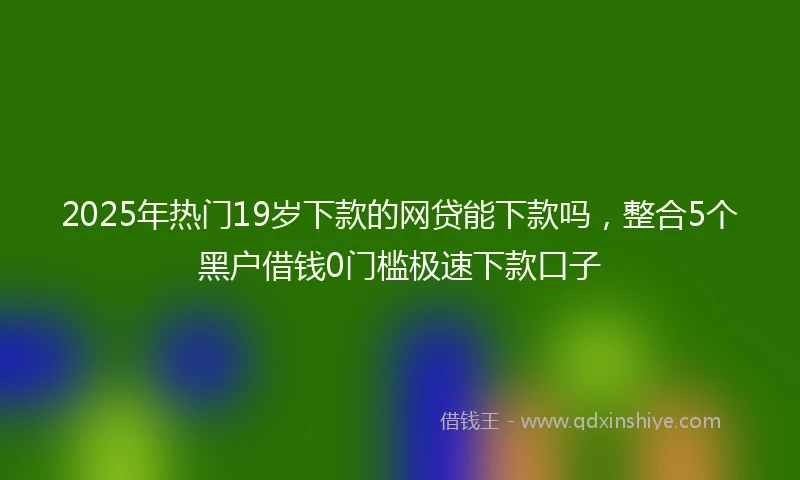 2025年热门19岁下款的网贷能下款吗，整合5个黑户借钱0门槛极速下款口子