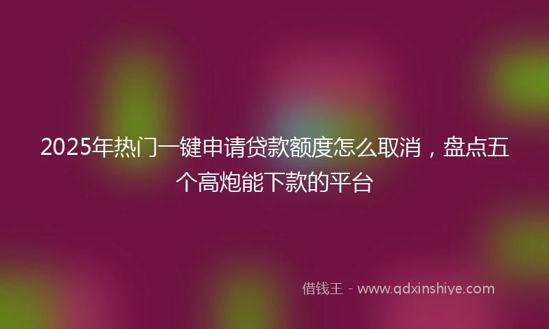 2025年热门一键申请贷款额度怎么取消，盘点五个高炮能下款的平台