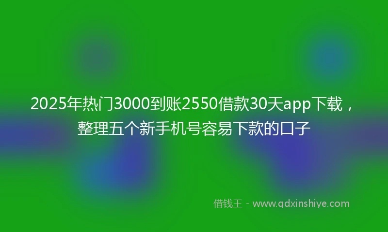 2025年热门3000到账2550借款30天app下载，整理五个新手机号容易下款的口子