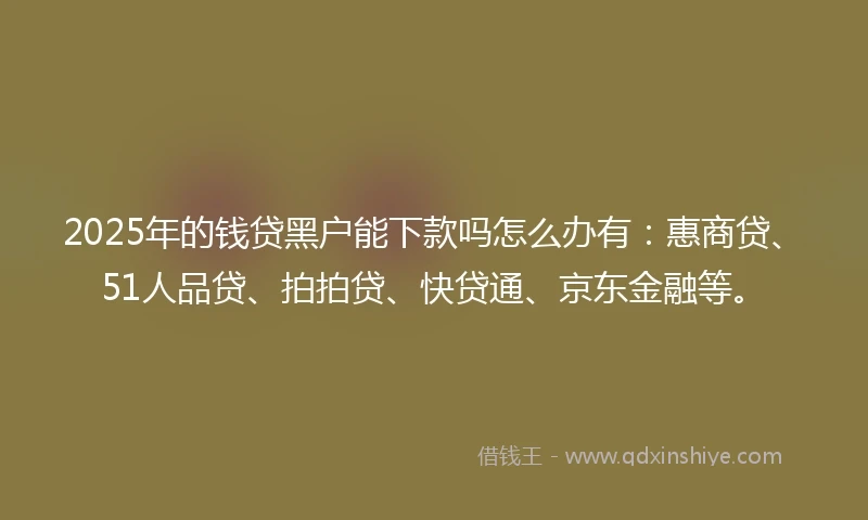 2025年的钱贷黑户能下款吗怎么办有：惠商贷、51人品贷、拍拍贷、快贷通、京东金融等。