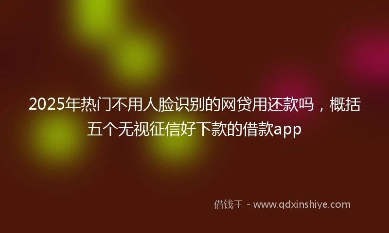 2025年热门不用人脸识别的网贷用还款吗，概括五个无视征信好下款的借款app