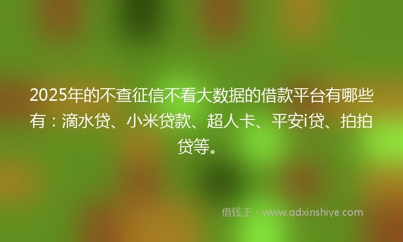 2025年的不查征信不看大数据的借款平台有哪些有：滴水贷、小米贷款、超人卡、平安i贷、拍拍贷等。