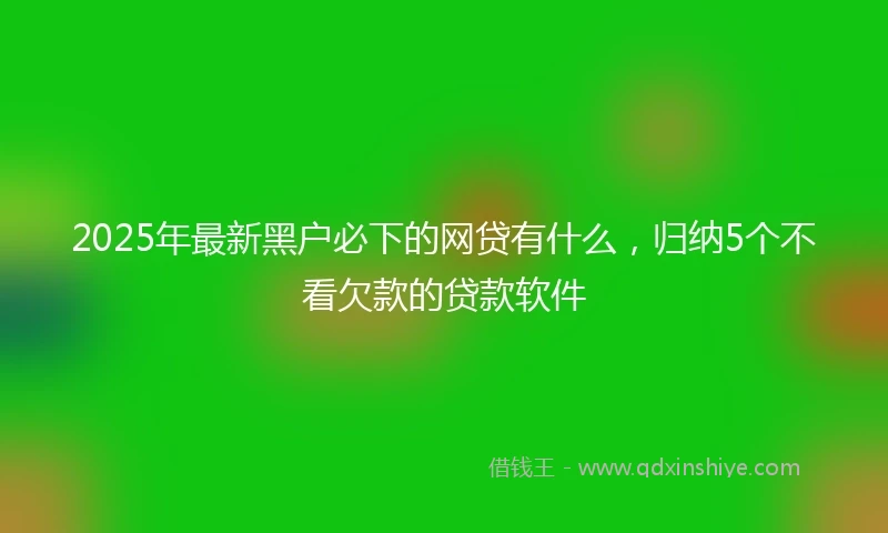 2025年最新黑户必下的网贷有什么，归纳5个不看欠款的贷款软件