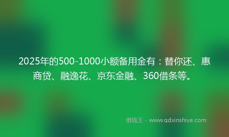 2025年的500-1000小额备用金有：替你还、惠商贷、融逸花、京东金融、360借条等。