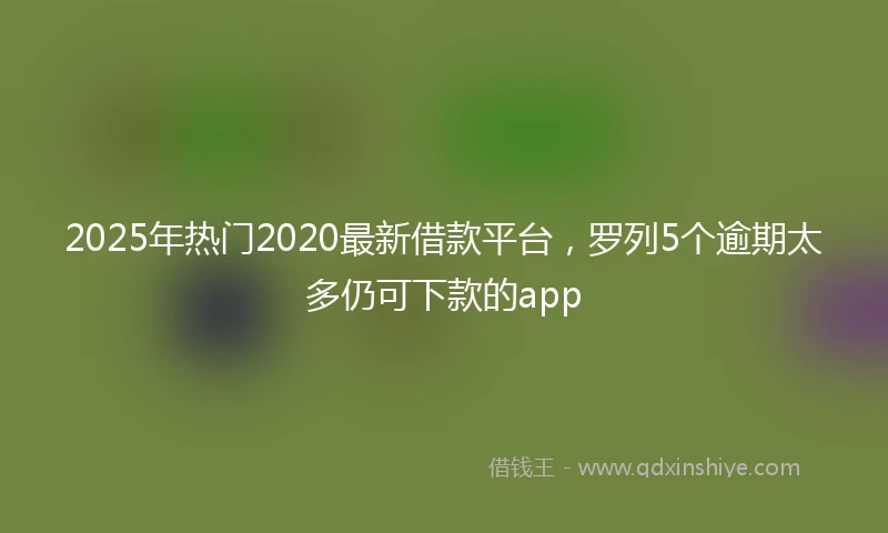 2025年热门2020最新借款平台，罗列5个逾期太多仍可下款的app