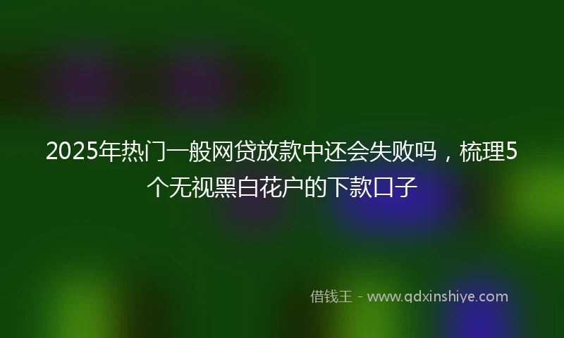 2025年热门一般网贷放款中还会失败吗，梳理5个无视黑白花户的下款口子