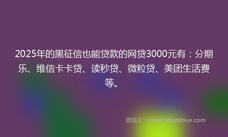2025年的黑征信也能贷款的网贷3000元有：分期乐、维信卡卡贷、读秒贷、微粒贷、美团生活费等。