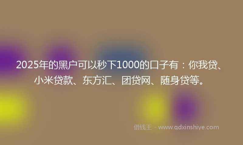 2025年的黑户可以秒下1000的口子有：你我贷、小米贷款、东方汇、团贷网、随身贷等。