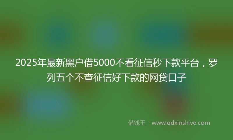 2025年最新黑户借5000不看征信秒下款平台，罗列五个不查征信好下款的网贷口子