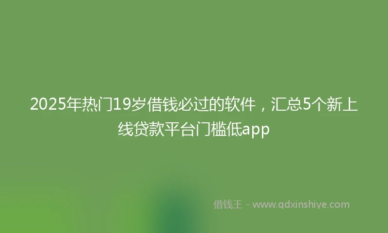 2025年热门19岁借钱必过的软件，汇总5个新上线贷款平台门槛低app