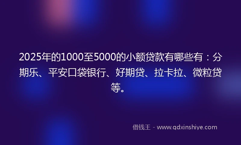 2025年的1000至5000的小额贷款有哪些有：分期乐、平安口袋银行、好期贷、拉卡拉、微粒贷等。