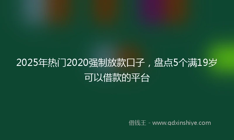 2025年热门2020强制放款口子，盘点5个满19岁可以借款的平台