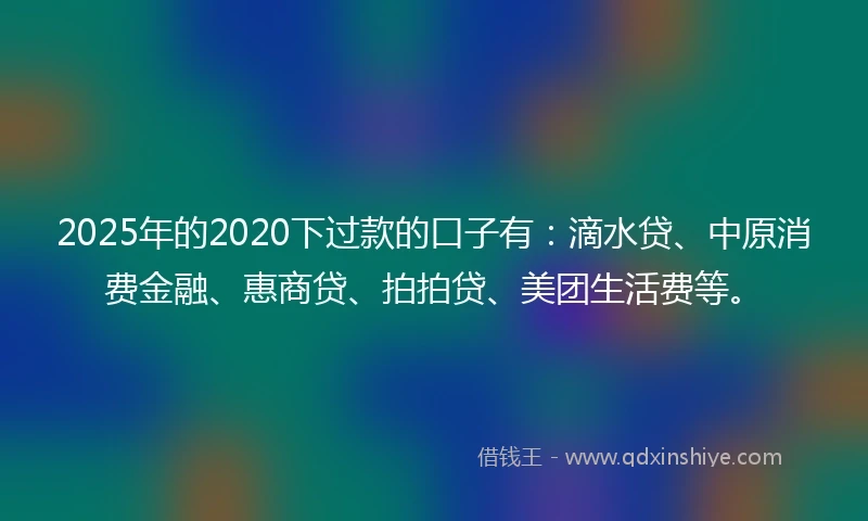 2025年的2020下过款的口子有：滴水贷、中原消费金融、惠商贷、拍拍贷、美团生活费等。