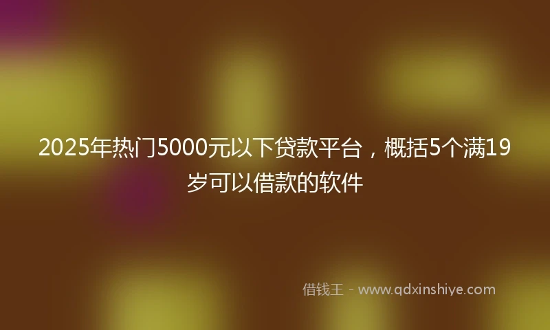 2025年热门5000元以下贷款平台，概括5个满19岁可以借款的软件