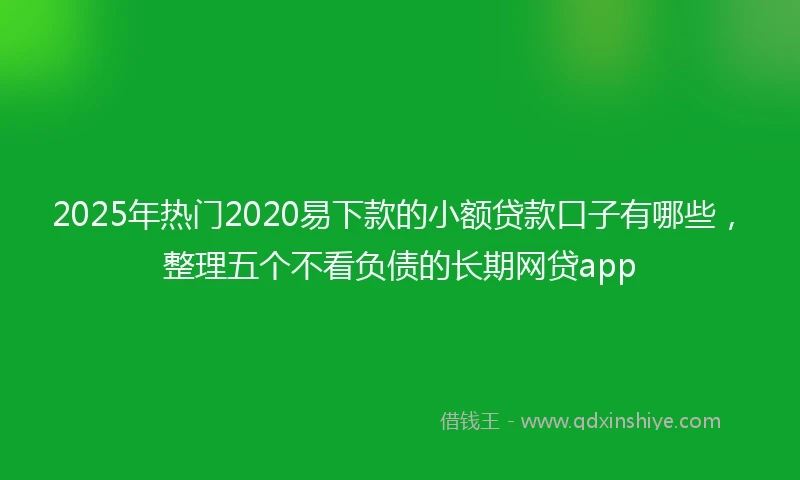 2025年热门2020易下款的小额贷款口子有哪些，整理五个不看负债的长期网贷app