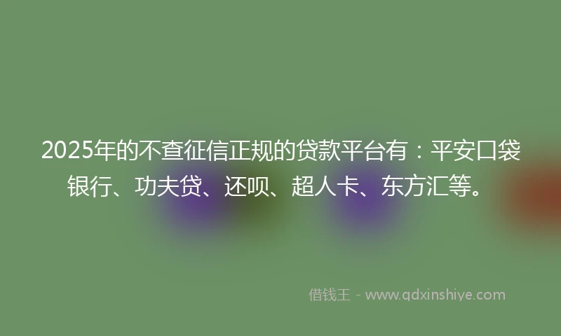 2025年的不查征信正规的贷款平台有：平安口袋银行、功夫贷、还呗、超人卡、东方汇等。