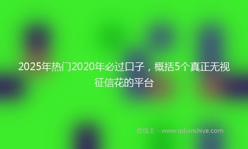 2025年热门2020年必过口子，概括5个真正无视征信花的平台