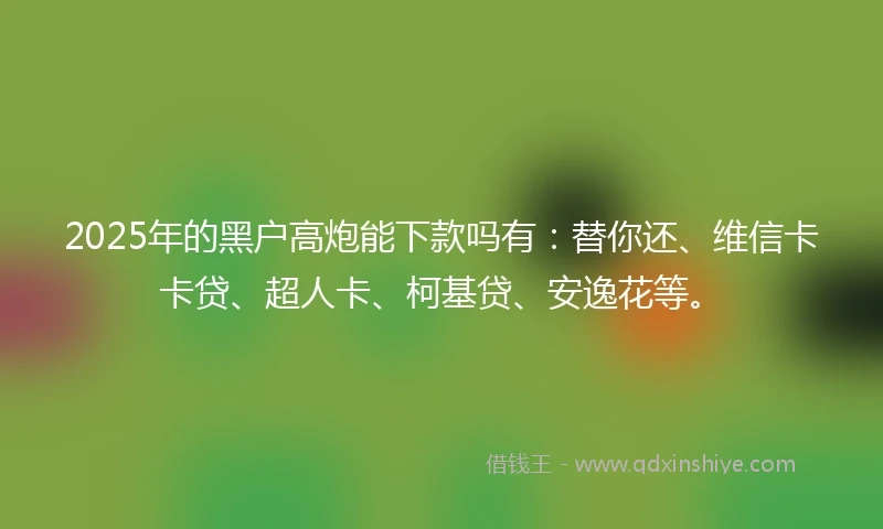 2025年的黑户高炮能下款吗有：替你还、维信卡卡贷、超人卡、柯基贷、安逸花等。