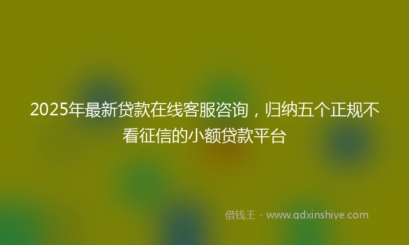 2025年最新贷款在线客服咨询，归纳五个正规不看征信的小额贷款平台