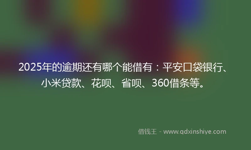 2025年的逾期还有哪个能借有：平安口袋银行、小米贷款、花呗、省呗、360借条等。