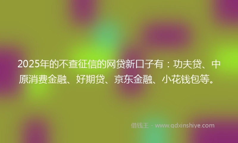 2025年的不查征信的网贷新口子有：功夫贷、中原消费金融、好期贷、京东金融、小花钱包等。