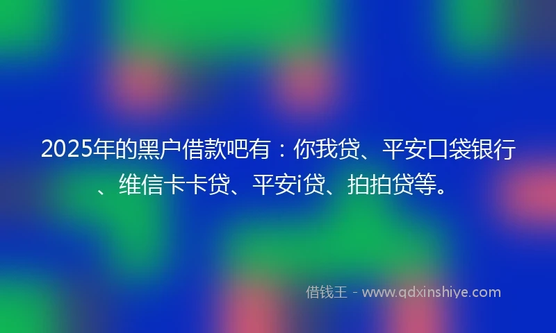2025年的黑户借款吧有：你我贷、平安口袋银行、维信卡卡贷、平安i贷、拍拍贷等。